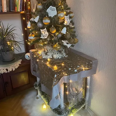 1 Apartment